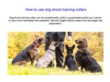 How to use dog shock training  collars