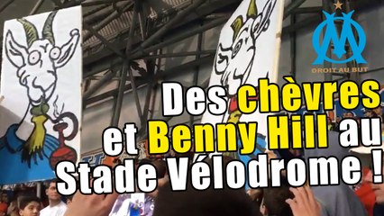 OM : des chèvres et Benny Hill en tribunes !