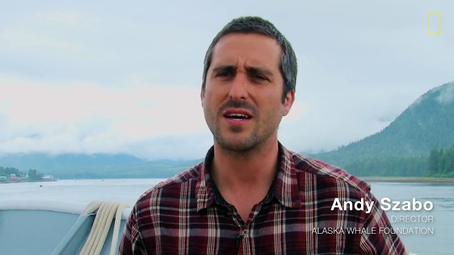 As Soon As They Saw Thousands Of Bubbles Emerge, They Hit Record. What They Capture? STUNNING