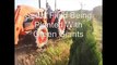 Instructional Landscape Video on Tree Planting of Green Giant Liners  nnn