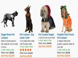Pet Halloween Costumes - Pet Halloween Costume