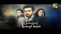 Zindagi Tujh Ko Jiya Episode 30 Promo HUM TV Drama 11 April 2016
