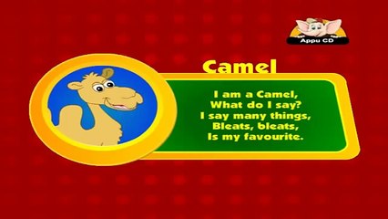 Animal Sounds in Hindi - Camel