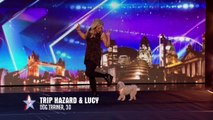 Dancing dog Trip Hazard has all the right moves  - Week 1 Auditions - Britain’s Got Talent 2016