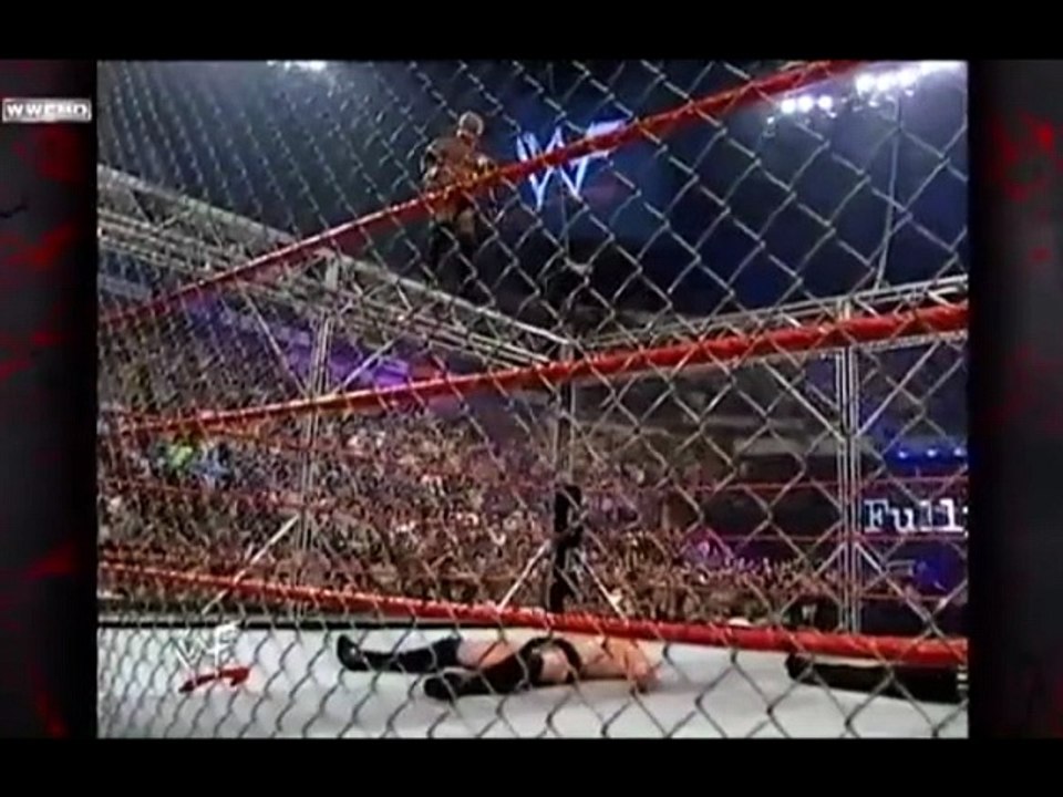 Rikishi cage dive