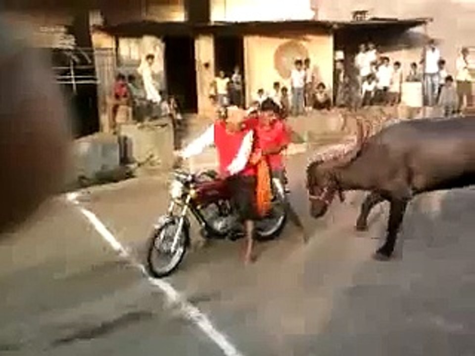 funny  Clip HAHAHAHHA