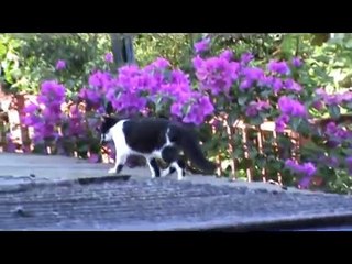 Mengintai Dari Tirai Kamar