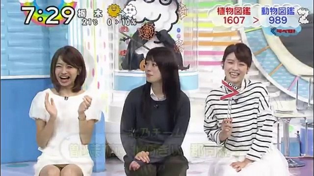 曽田茉莉江 Zipキャスター パンチラ画像 Japanese Television 放送事故 動画 Dailymotion