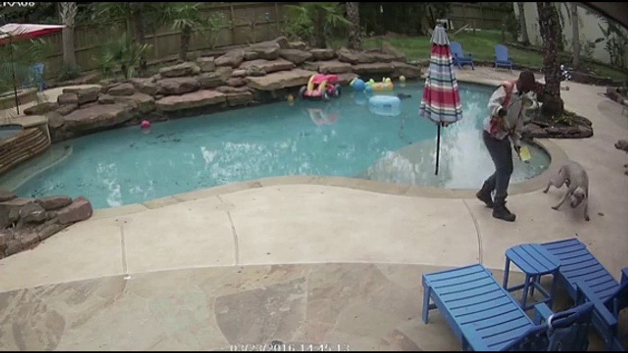 Video shows contractor beating family's dog with wrench