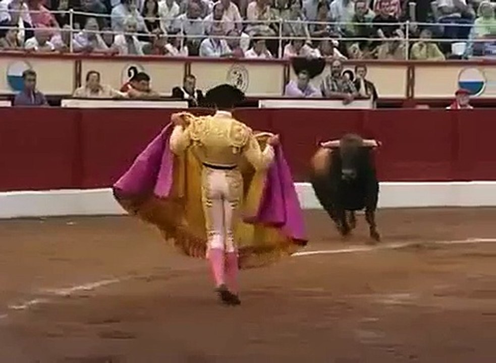 funny Video