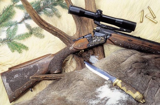 Охота на медведя в Швеции