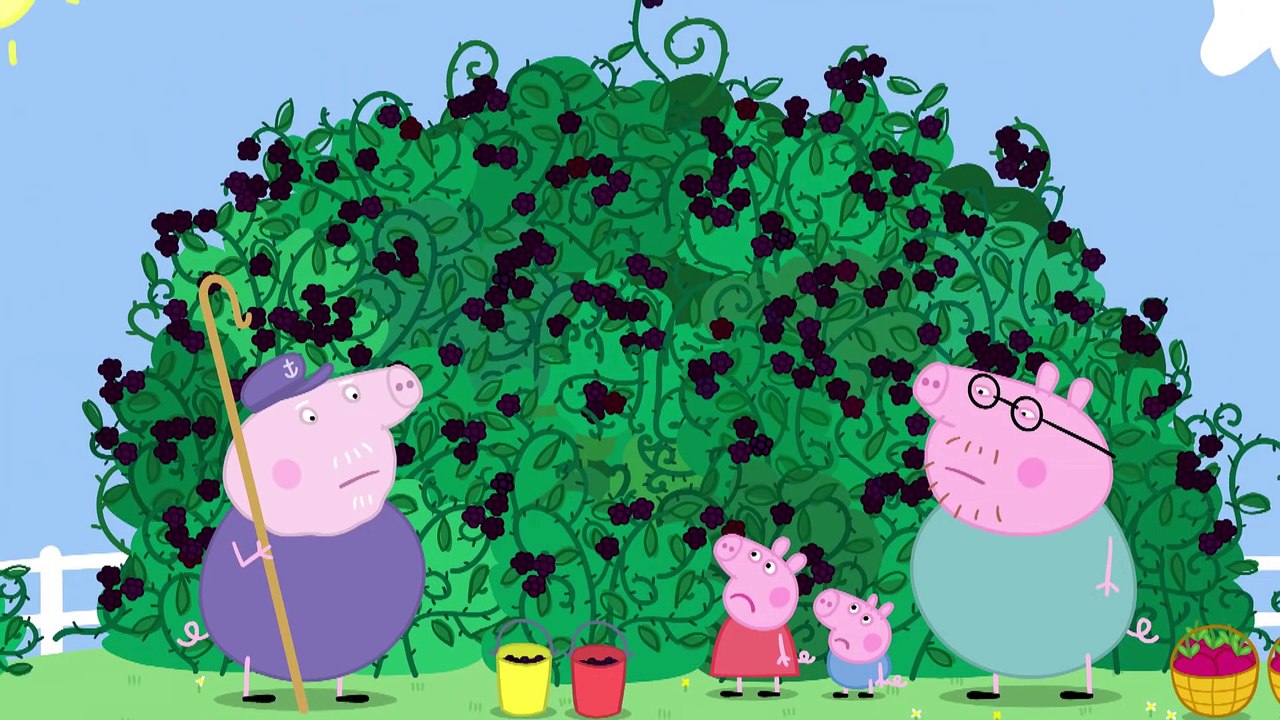 Peppa Pig - The Blackberry Bush (Clip) (2)