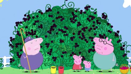 Peppa Pig - The Blackberry Bush (Clip)
