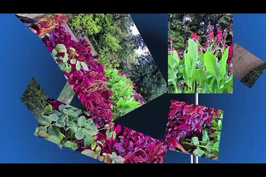 Второй день во Франции (720x480)