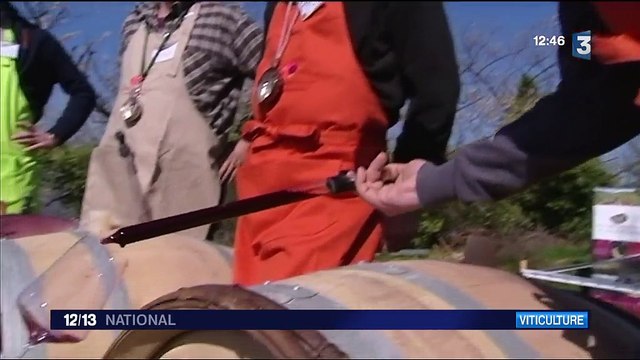 Beaujolais : enterrer les fûts pour bonifier le vin