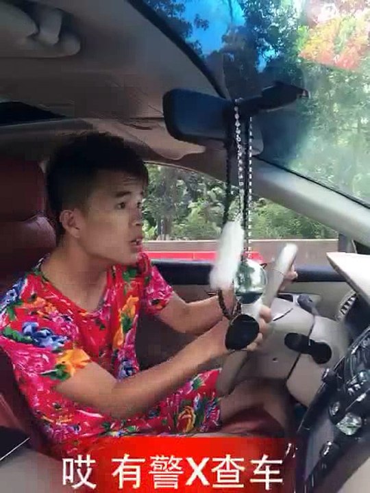 有警察查車
