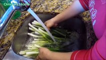 Kitchen Tip #1, Saving Money on Green Onion by Storing, Freezing, Drying by Omma's Home