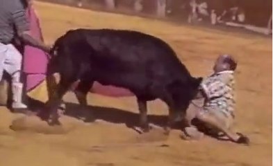 America's Funniest Home Videos Part 86 _ OrangeCabinet