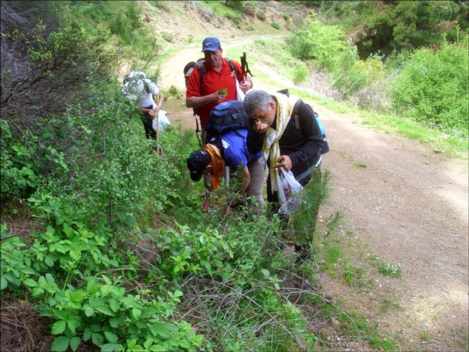 baçova halkapınar çeşmesi 25 Km 10.04.2016