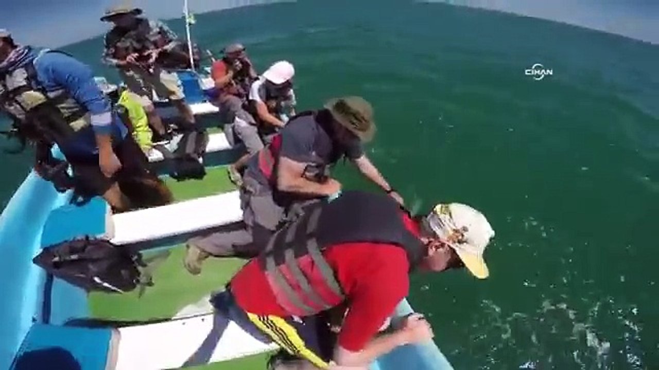 Dev balinalar ile yakın temas kamerada