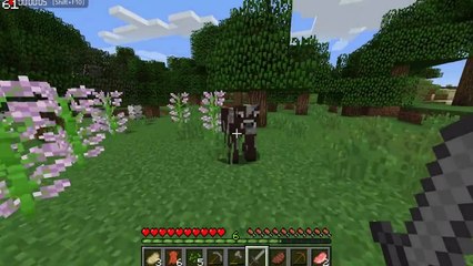 MINING (Minecraft Gameplay) w/Shane