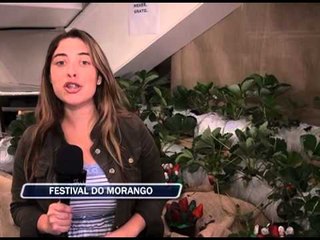 04-10-2013 - FESTIVAL DO MORANGO - ZOOM TV JORNAL