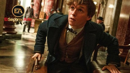 Animales fantásticos y dónde encontrarlos - Tráiler español (HD)