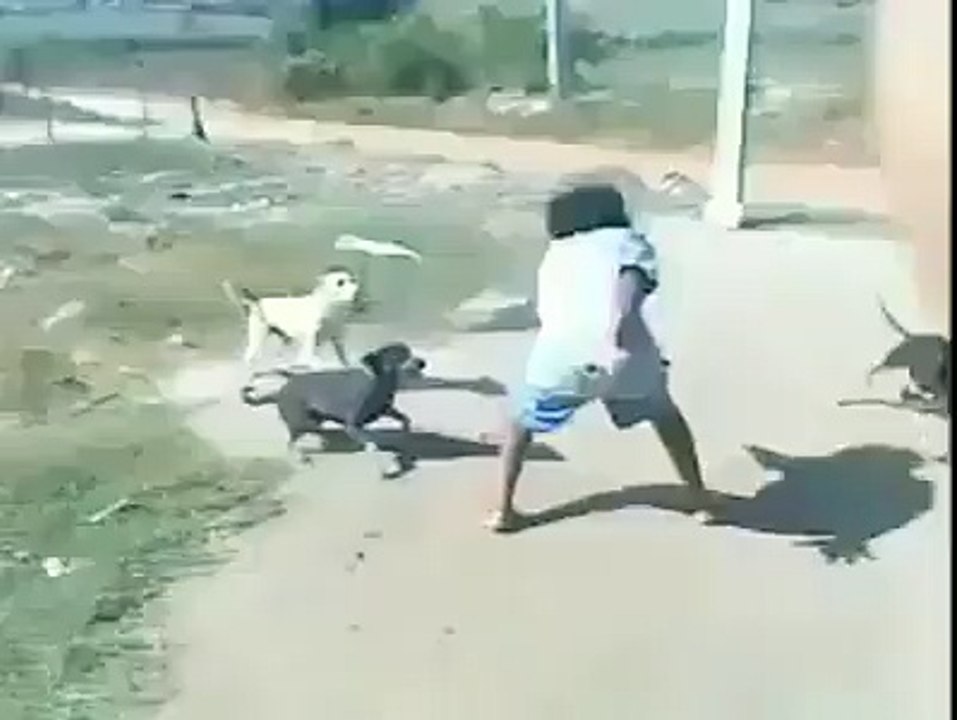 Ninja man