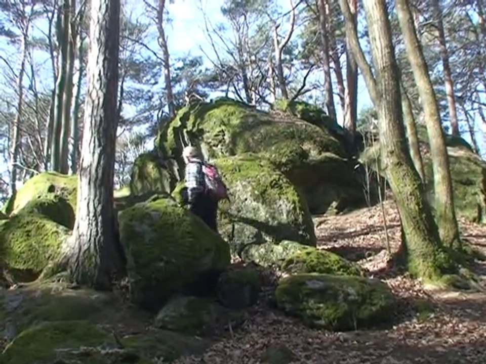 Autour de la Roche Matiole  Saint Martin d'en Haut 69850 Monts du Lyonnais