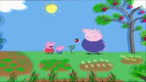 Peppa Big Pig werken in de tuin  Nederlands