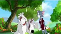 توم وجيري Tom and Jerry