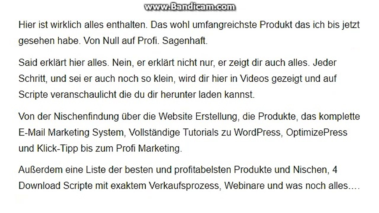 Evergreensystem – Die ganze Wahrheit auf Bumblebee.one