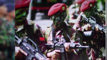 TNI Siapkan Paskhas, Denjaka, Kopassus Bebaskan 10 WNI di Filipina