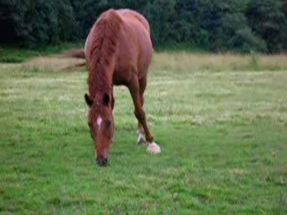 DSCN1548