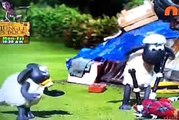 shaun the sheep Bagpipe Buddy ToonVideos