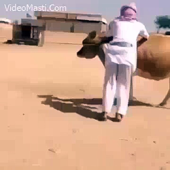 Funny arab guy on pk tube