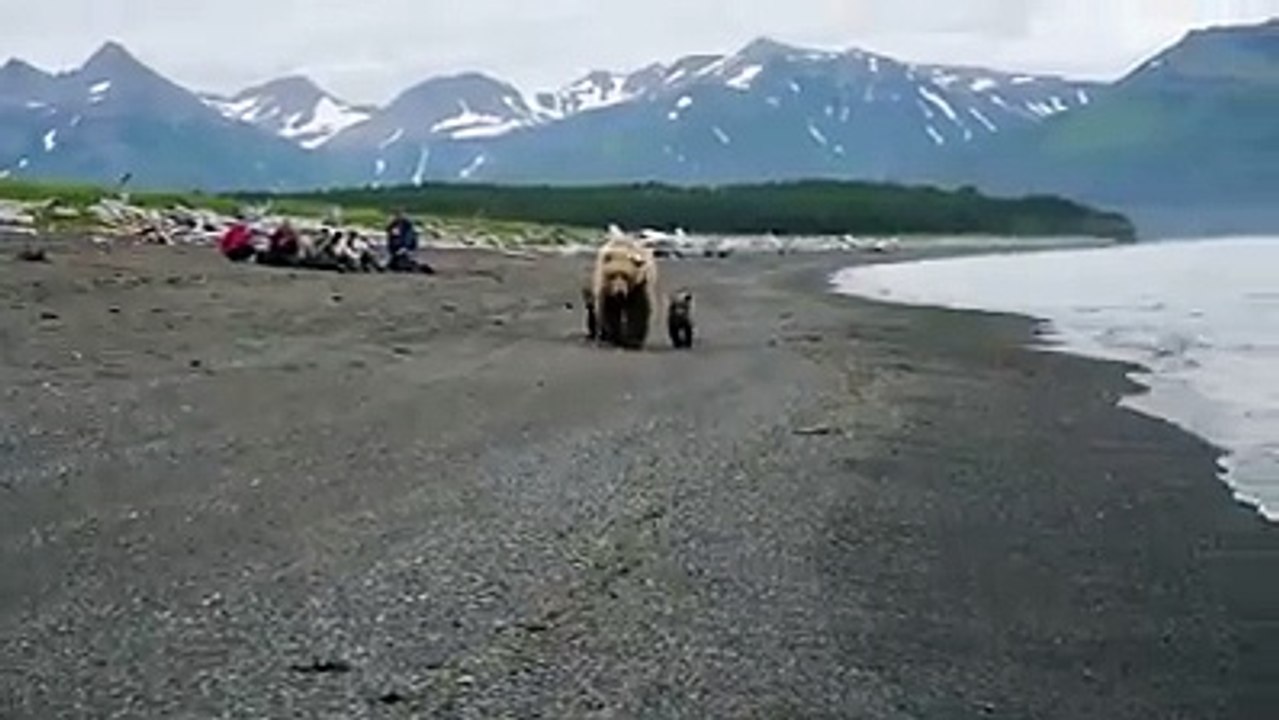 A Great Funny Clip