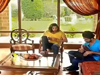 Udaari Ost TItle Song Hum Tv
