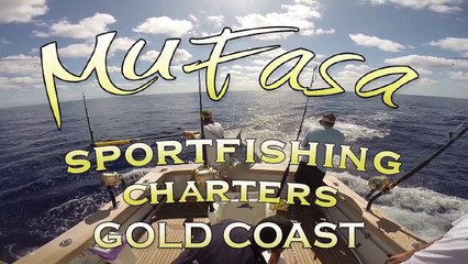 VIDEO: Blue Marlin Jumps into the Cockpit