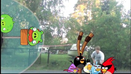 Angry birds space in real life