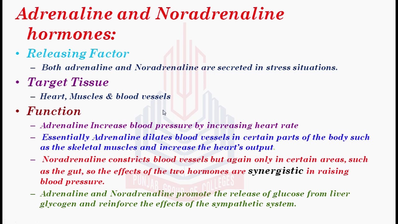 Adrenaline ,  Nonadrenaline hormones and Cortical Hormones