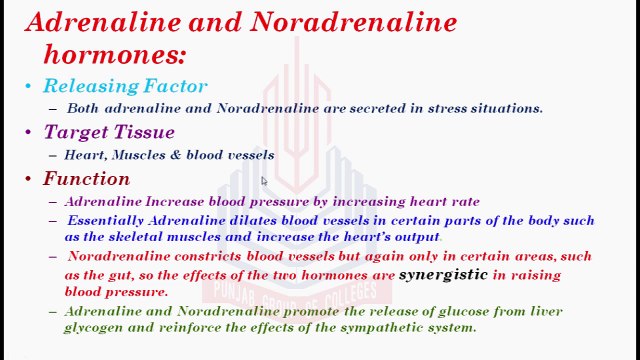 Adrenaline , Nonadrenaline hormones and Cortical Hormones