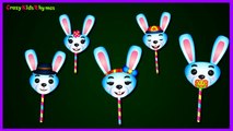 The Finger Family Bunny Lollipop Family Nursery Rhymes | Lollipop Finger Family Songs