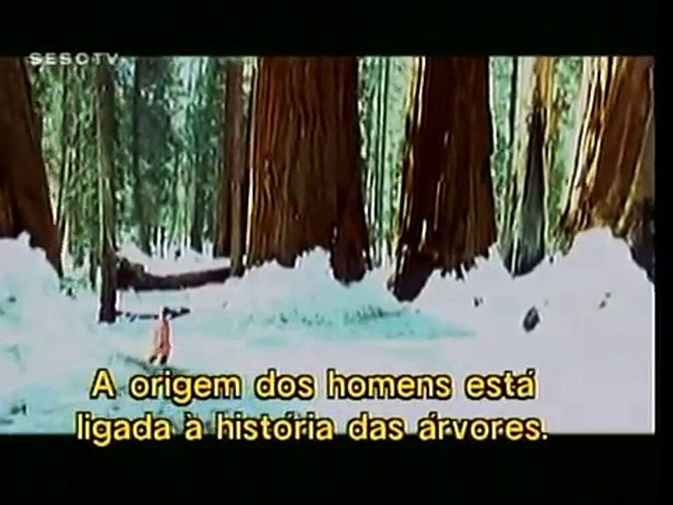 Sophie Bruneau - Arbres