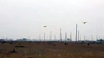 Piper Rc plane Landing by sarwar