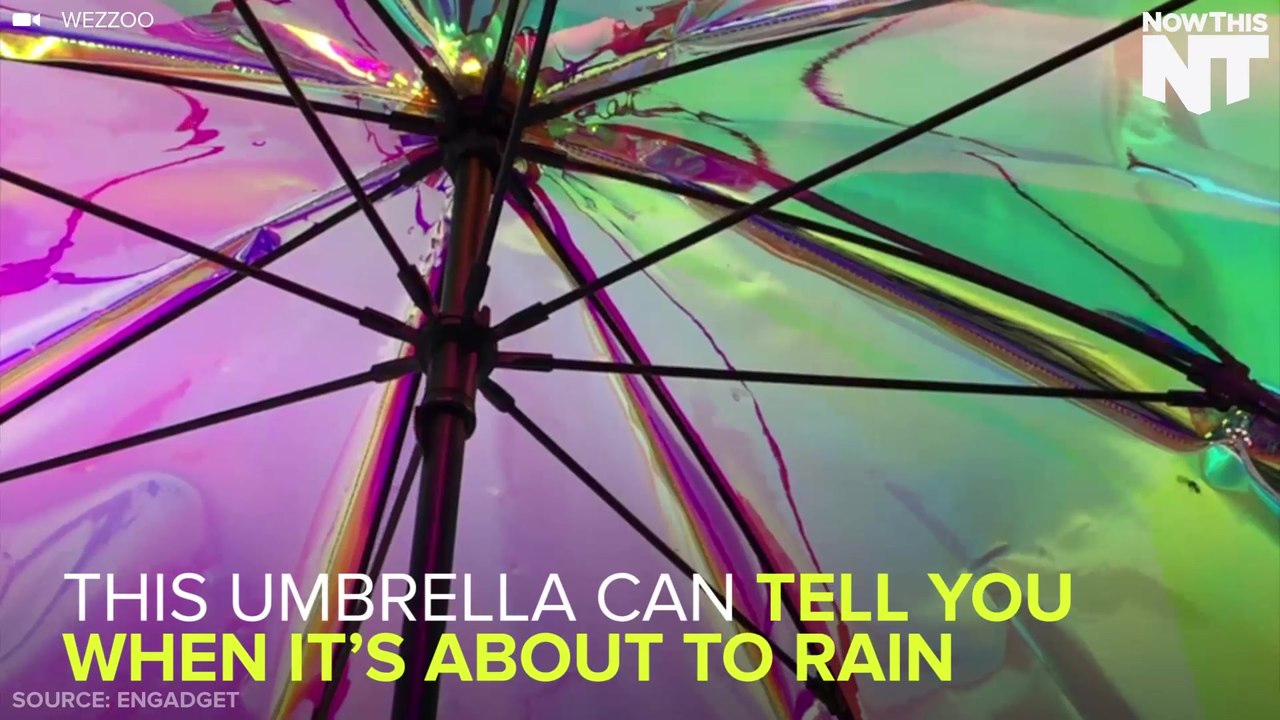 This 'Smart' Umbrella Works Overtime To Keep You Dry