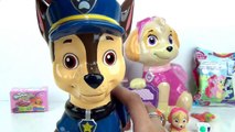 Nick Jr. Paw Patrol Coin Piggy Banks with Chase, Skye, Mashems, Toy Surprises / TUYC