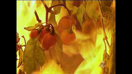 ABISMO DE PAIXÃO 11-04-2016 Capítulo 11 Parte 2/2 [Sem Cortes]