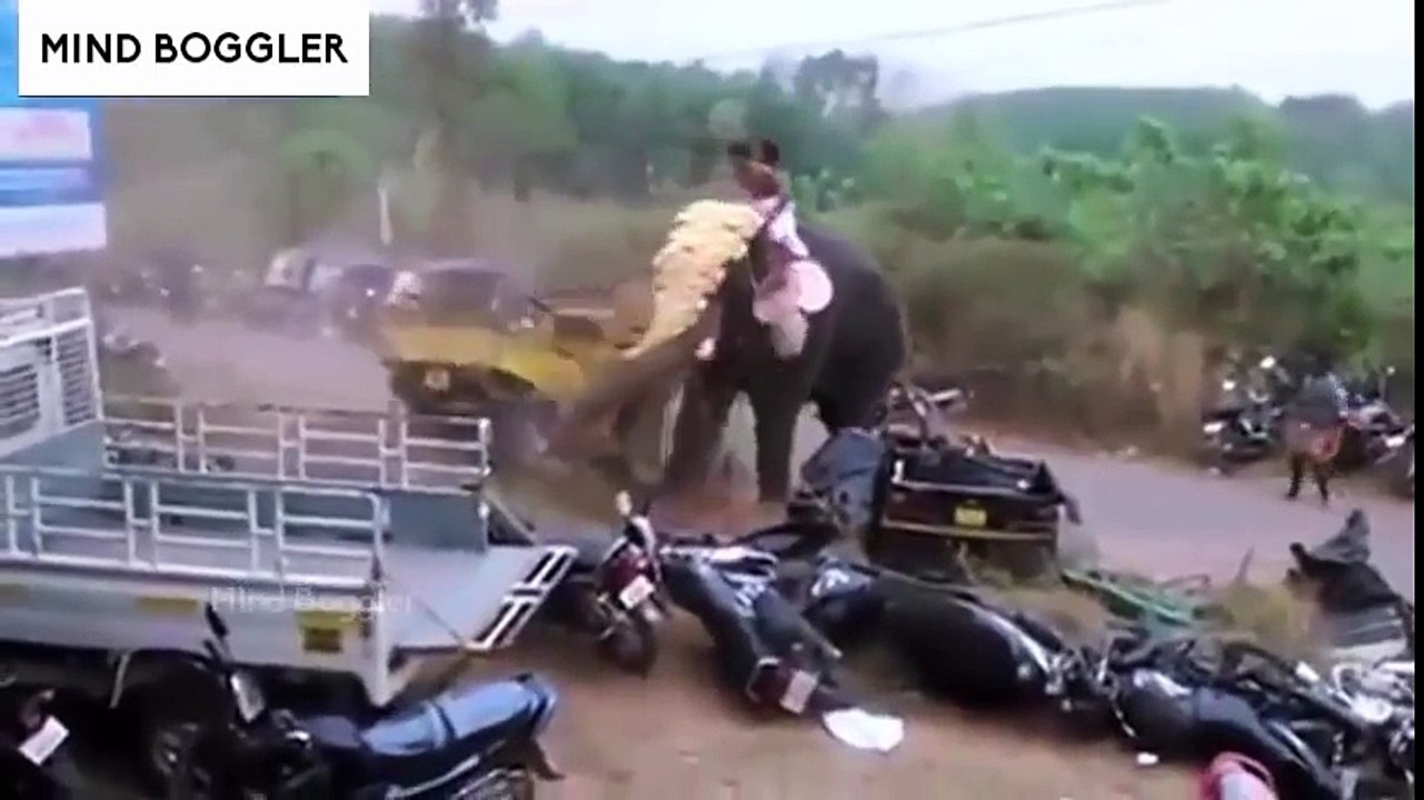 Top 20 Shocking Videos That Went Viral -  MUST WATCH