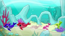 Dolphin Cartoon Animation Finger Family Nursery Rhyme | Daddy Finger Dolphin Plush Toy Rhymes